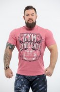 Заказать DICH Футболка Gym Syndicate (Red Melange)