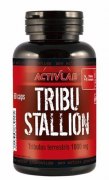 Заказать ActivLab Tribe Stallion 60 капс