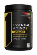 Заказать Rule 1 Pre Essential Amino 9 345 гр N