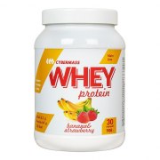 Заказать Cybermass Whey Protein 908 гр