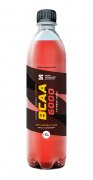 Заказать SportTech BCAA 6000 + L-Carnitine 500 мл