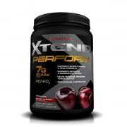 Заказать Scivation Xtend Perform 671 гр