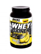 Заказать Vision Whey Gainer 1000 гр