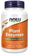 Заказать NOW Plant Enzymes 120 вег капс N