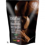 Заказать Power Pro Creatine 500 гр