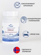 Заказать Norway Nature DMAE 250 мг 90 таб