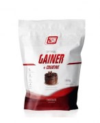 Заказать 2SN Gainer + Creatine 1000 гр