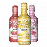 Заказать 2SN Сироп Sugar Free 375 мл