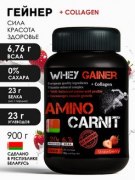 Заказать Amino Сarnit Whey Gainer 1000 гр